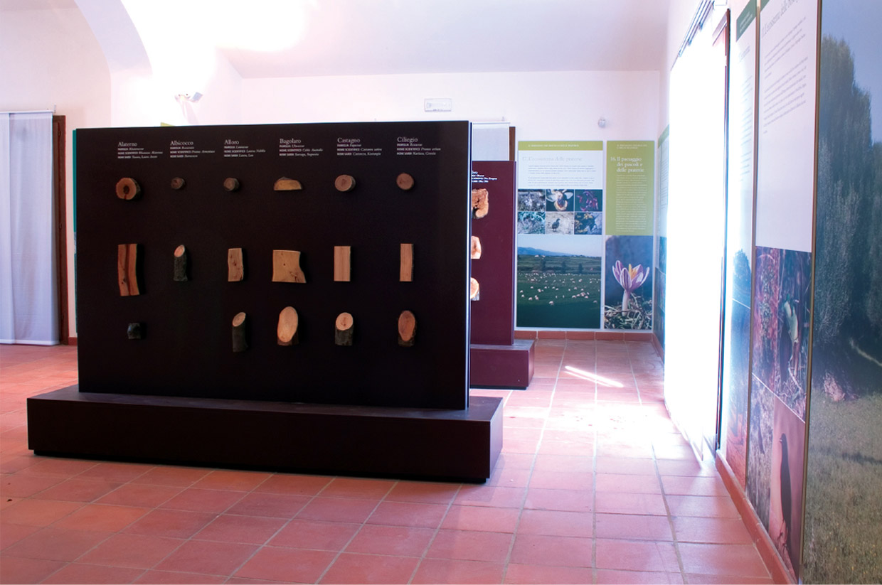 Sedilo, Oristano, Archaeological and Natural History Museum
