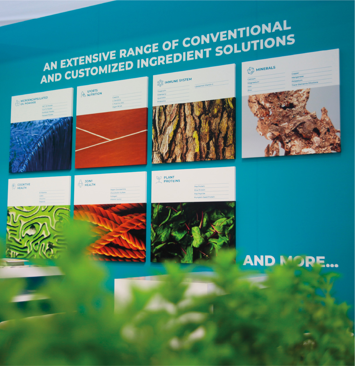 Freemen Nutra, Vitafoods, CPHI, FI Europe - 2022 – 2025 